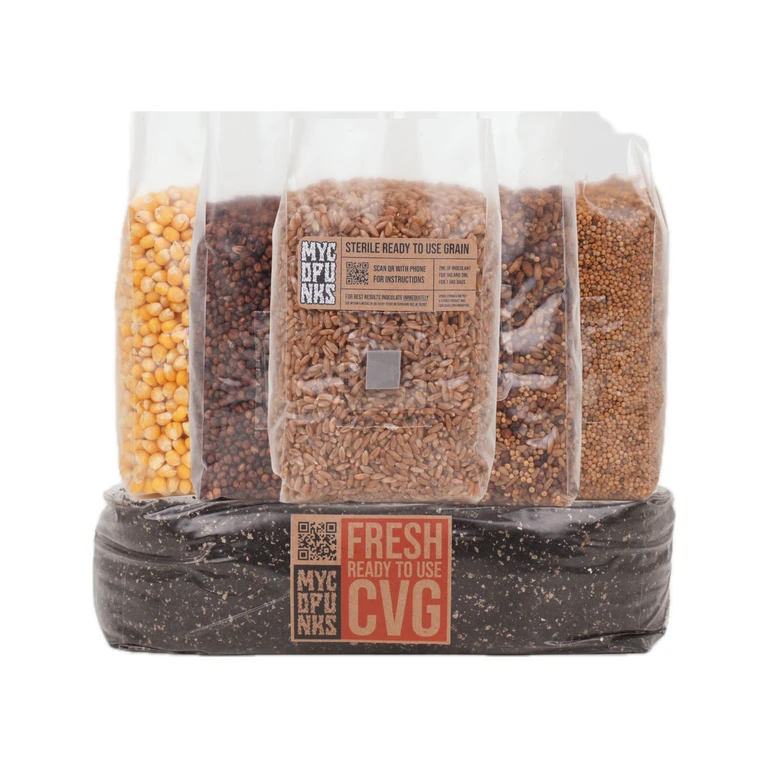 1 kg Sterile Grain + 2 kg CVG Bundle