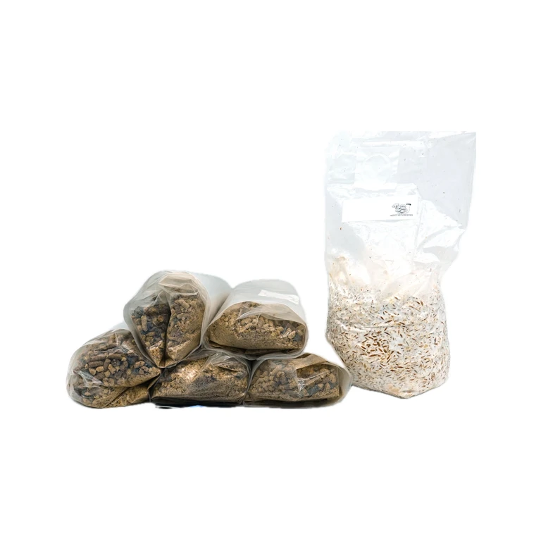 Yellow Oyster Mushroom Grow Kits