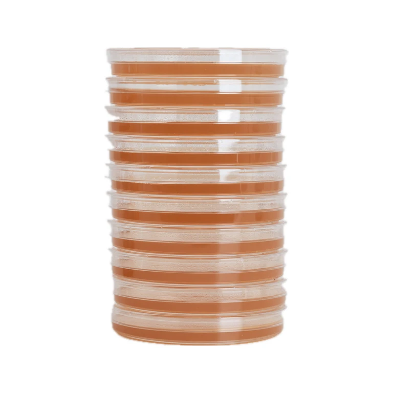 Organic Sorghum Agar Petri Dishes For Mushroom Mycelium Cultivation (10pk)