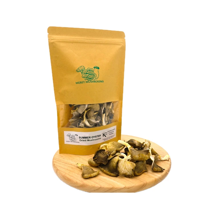 Dried Summer Oyster Mushrooms