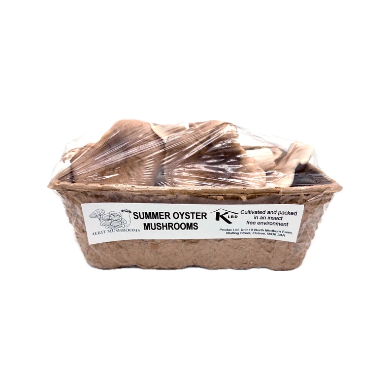 Fresh Summer Oyster Mushrooms