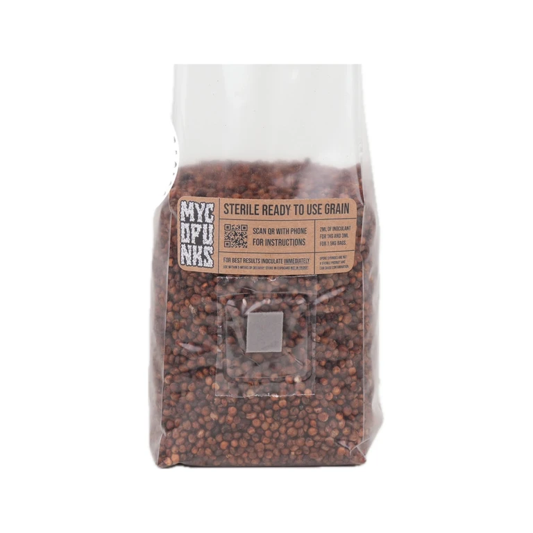 Basics : Milo (Red Dari) Sterile Grain For Mushroom Grain Spawn