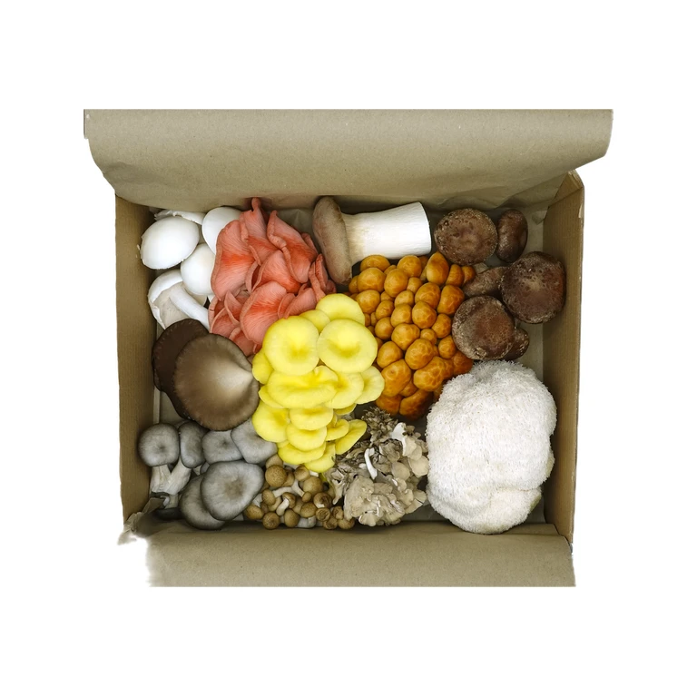 Fresh Gourmet Mushroom Mix