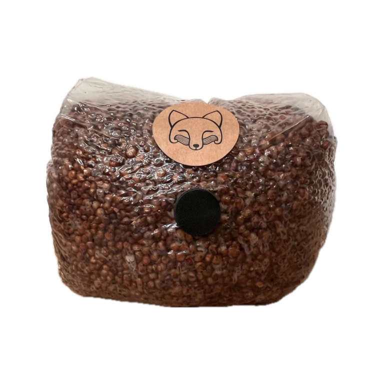Sterile Grain - Milo (Red Sorghum) 1.6 kg