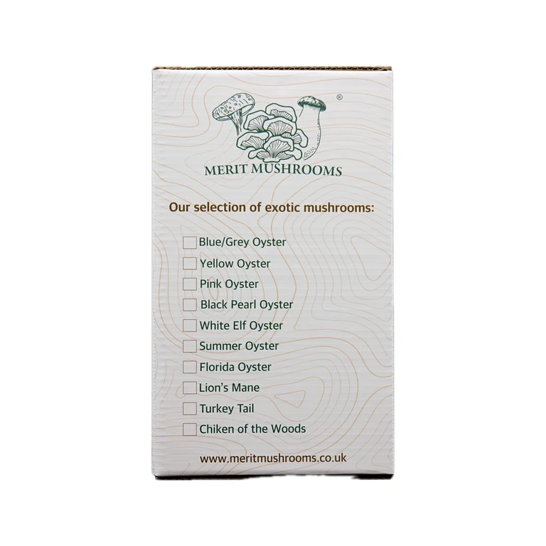 Summer Oyster Mushroom Grow Kits