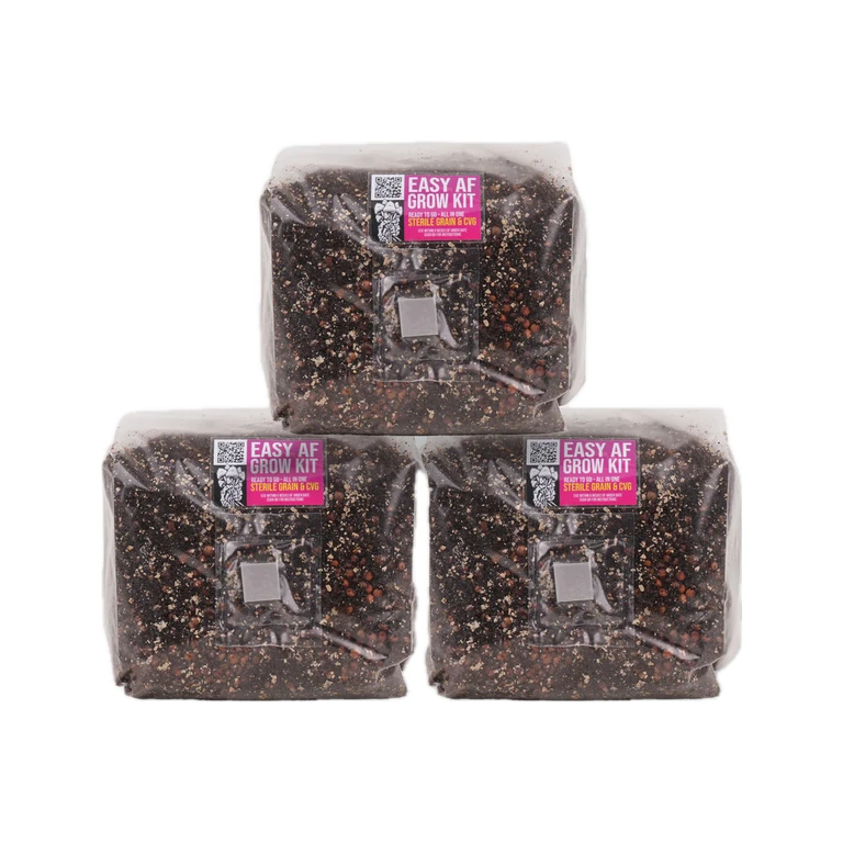 Easy AF Mushroom Grow Kit - 3 Pack