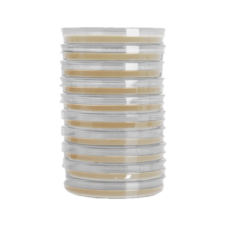 Water Agar Petri Dishes For Wild Fungal Cloning And Mushroom Mycelium Cultivation (10pk)