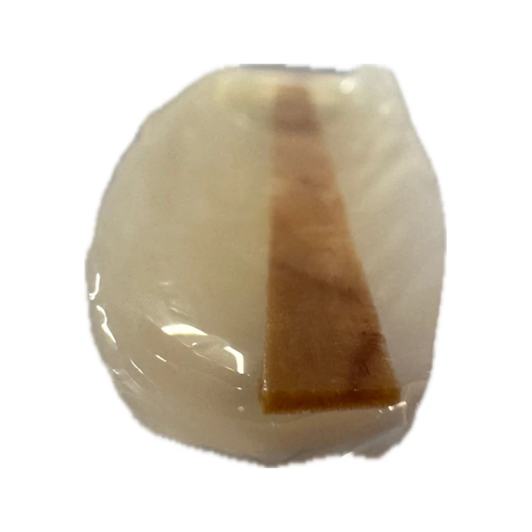 Pdya Slants For Long Term Culture Storage (5pk)