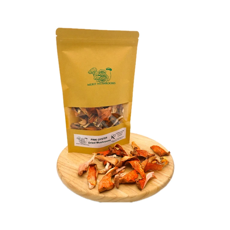 Dried Pink Oyster Mushrooms
