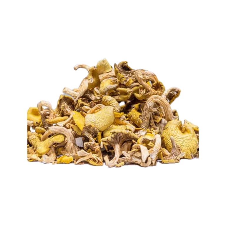 Yellow Oyster Dried Mushrooms