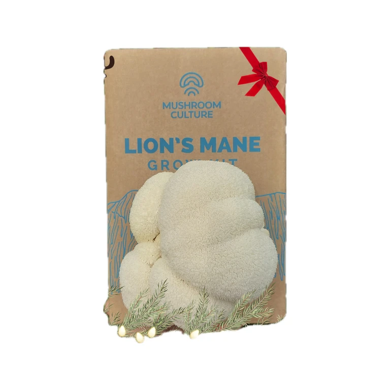 Mushroom Grow Kits *Xmas