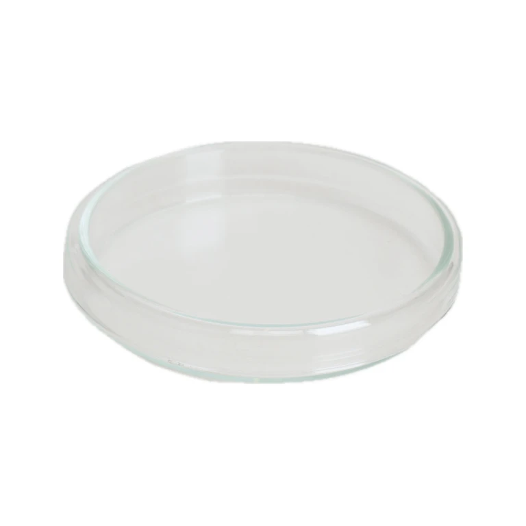 Hybrid Glass Petri Dish (Various Sizes)