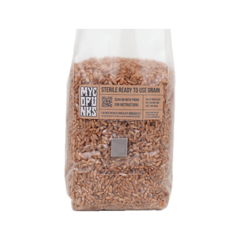 Sterile Organic Rye Grain For Mushroom Spawn Production