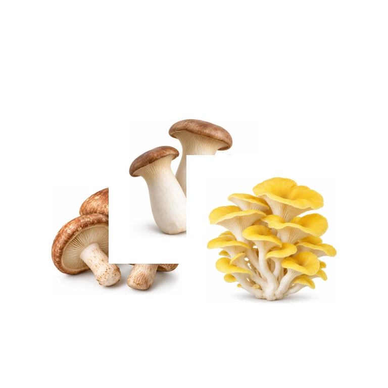 Fresh Mushroom Gourmet Mix