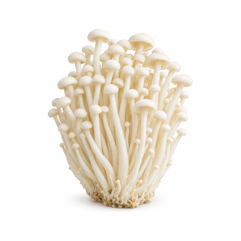 Enoki Fresh Mushrooms