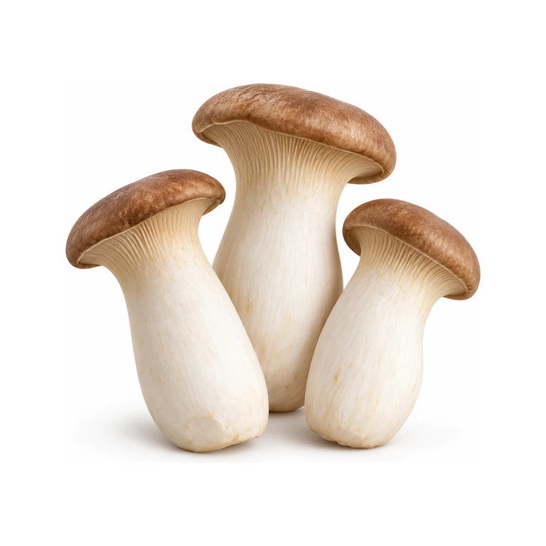 Fresh King Oyster Mushrooms