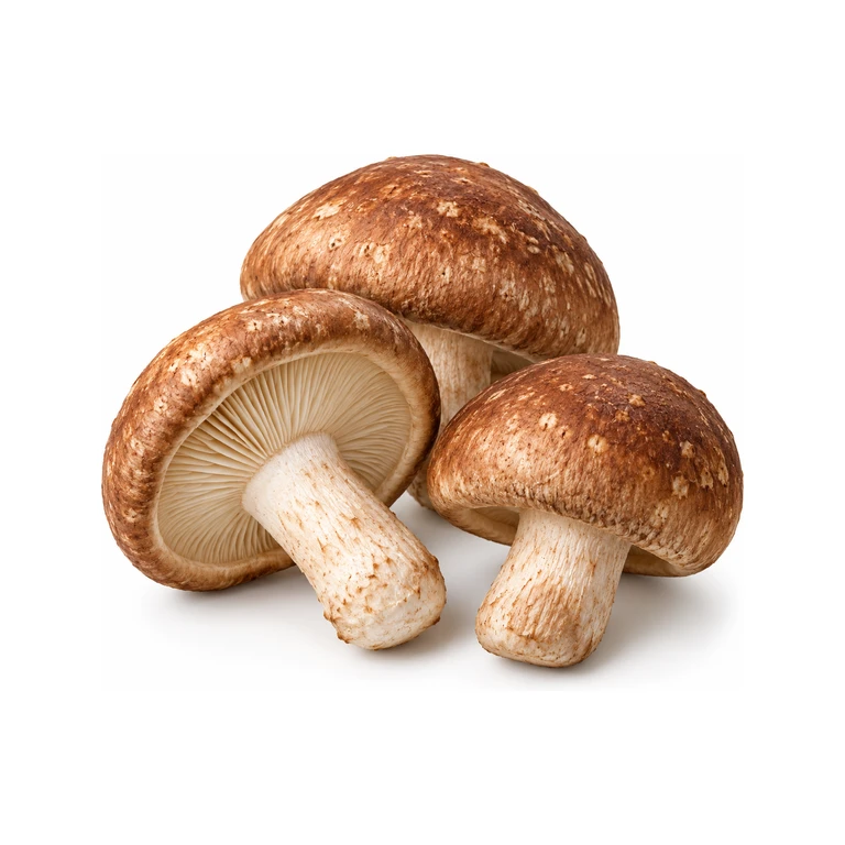 Shiitake Fresh Mushrooms