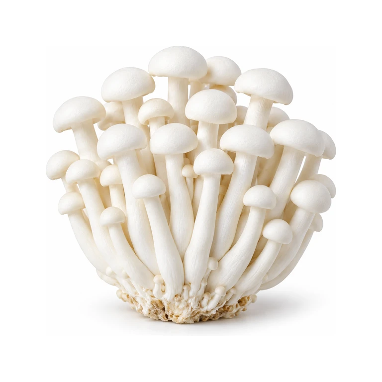 Shimeji Mushrooms