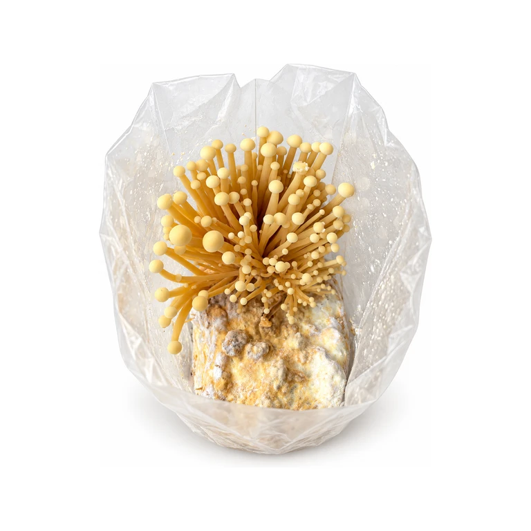 Enoki Mushroom Grow Kits