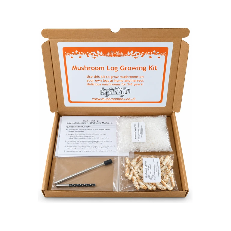 Blue Oyster Mushroom Log Growing Kit